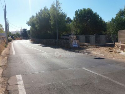 c7d7ae72-26b6-424f-b6eb-df3a71032a9a