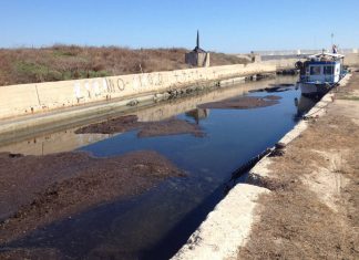 Rotundo: “Darsena di San cataldo ancora sepolta dalle alghe, come sono stati spesi i soldi dei contribuenti?”