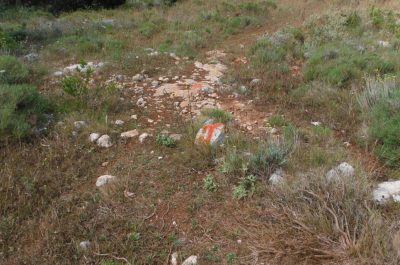 Fuoristrada nell’area protetta per una gara motociclistica. Scoperti dagli agenti della Forestale, scatta la denuncia - Corriere Salentino