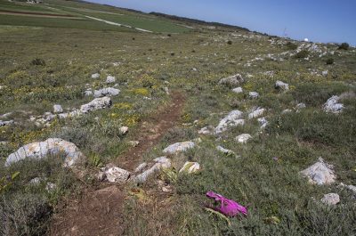 Fuoristrada nell’area protetta per una gara motociclistica. Scoperti dagli agenti della Forestale, scatta la denuncia - Corriere Salentino