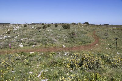 Fuoristrada nell’area protetta per una gara motociclistica. Scoperti dagli agenti della Forestale, scatta la denuncia - Corriere Salentino