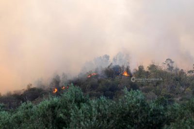 "Inferno" a Torre Mozza, evacuati agriturismi - Corriere Salentino