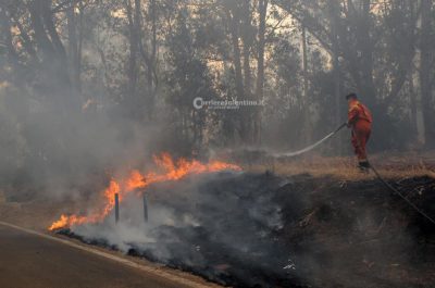 "Inferno" a Torre Mozza, evacuati agriturismi - Corriere Salentino