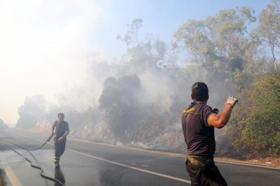 "Inferno" a Torre Mozza, evacuati agriturismi - Corriere Salentino