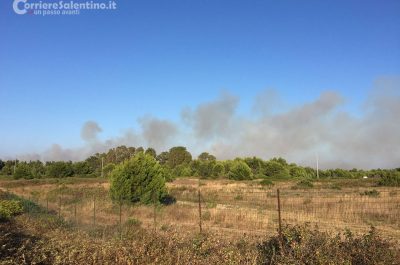 Brucia ancora il Salento, incendi divorano macchia mediterranea, canneti e pinete - Corriere Salentino