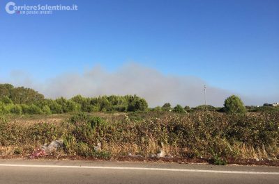 Brucia ancora il Salento, incendi divorano macchia mediterranea, canneti e pinete - Corriere Salentino