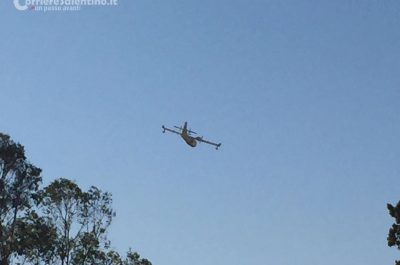 Brucia ancora il Salento, incendi divorano macchia mediterranea, canneti e pinete - Corriere Salentino