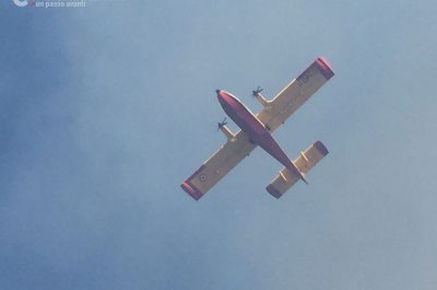 Brucia ancora il Salento, incendi divorano macchia mediterranea, canneti e pinete - Corriere Salentino