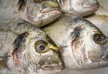 la ricetta del giorno: orata alla griglia Enogastronomia - Corriere Salentino