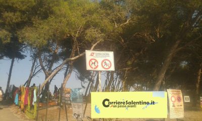 spiaggia-divieto-cani-giochi