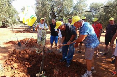 Al via un campo sperimentale ricerca anti Xylella ad Acquarica del Capo - Corriere Salentino