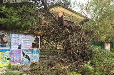 Paura e disagi per il maltempo: strade come piscine e un albero si abbatte sulla recinzione di una scuola - Corriere Salentino