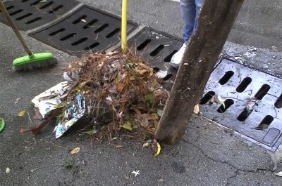 Lecce in tilt a causa della pioggia, allagamenti ovunque e un albero si abbatte su due auto - Corriere Salentino