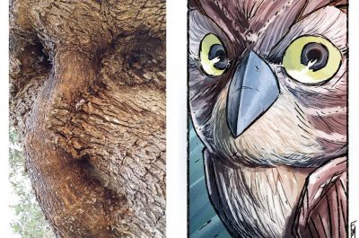 "Uliando Uliando": artisti da tutta Italia ad Otranto per disegnare gli ulivi secolari - Corriere Salentino