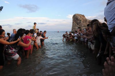 Una tartaruga e tre gheppi tornano in libertà nella Marina di Torre Pali - Corriere Salentino