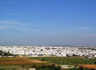 Avviati i progetti di Servizio Civile Universale “Monitor 2024” e “UP2024”