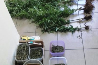 Piantine di "marija" sul terrazzo, mezzo chilo di droga in casa: arrestato 52enne - Corriere Salentino