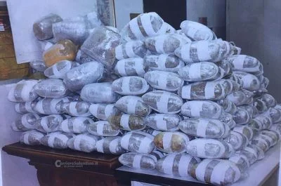 Quattro arresti e oltre 200 chili di marijuana sequestrati - Corriere Salentino