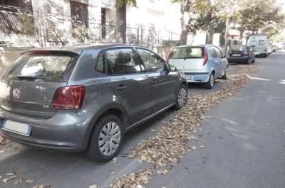 Lecce: quartiere San Lazzaro invaso dalle foglie. Protestano i residenti - Corriere Salentino