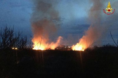 A fuoco quindici ettari a Punta Prosciutto, in fumo macchia mediterranea e canneti - Corriere Salentino