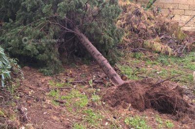 Tromba d'aria, crolla il controsoffitto al Fazzi. Danni e disagi in tutta la provincia - Corriere Salentino