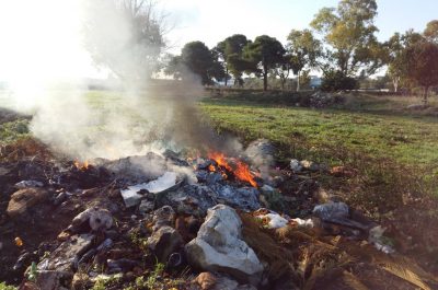 Taglia e distrugge macchia mediterranea, nei guai un 44enne - Corriere Salentino