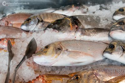 Il ristorante Alex, al vertice della ristorazione leccese, premiato dalla guida del Gambero Rosso - Corriere Salentino