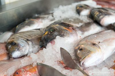 Il ristorante Alex, al vertice della ristorazione leccese, premiato dalla guida del Gambero Rosso - Corriere Salentino