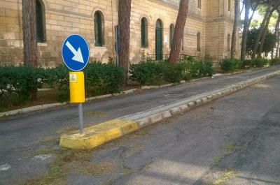 Asl, pino caduto per il forte vento: rimosso e viale ripulito. In corso verifiche sulla staticità degli alberi - Corriere Salentino