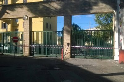Asl, pino caduto per il forte vento: rimosso e viale ripulito. In corso verifiche sulla staticità degli alberi - Corriere Salentino