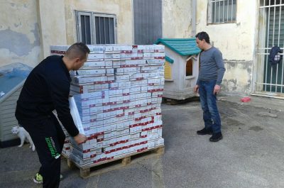 Una pedana di cibo in dono ai gatti del luogodegenze comunale - Corriere Salentino