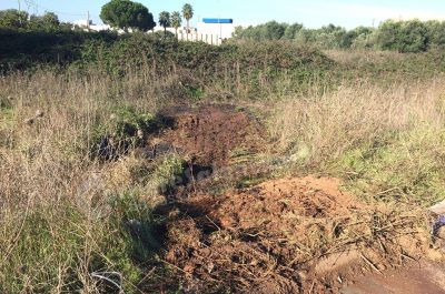 Tragico incidente nella notte, muoiono due giovani. L'altro conducente positivo agli oppiacei - Corriere Salentino