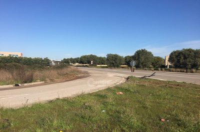 Tragico incidente nella notte, muoiono due giovani. L'altro conducente positivo agli oppiacei - Corriere Salentino