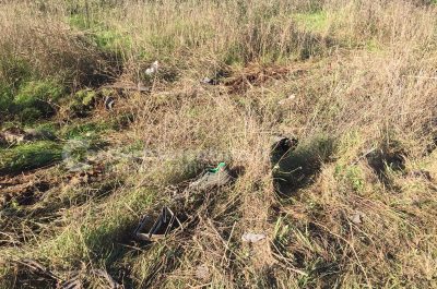 Tragico incidente nella notte, muoiono due giovani. L'altro conducente positivo agli oppiacei - Corriere Salentino