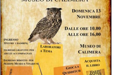 Harry Potter e il Museo di Calimera - Corriere Salentino