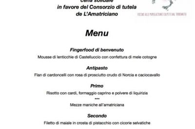 "Il cuore delle Donne del Vino va al centro", cena solidale a favore degli agricoltori colpiti dal terremoto - Corriere Salentino