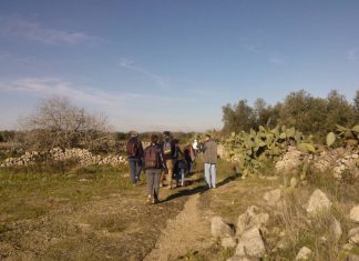 “L’universo della pietra”: passeggiata al Parco di Rauccio con le guide della Cooperativa Terradimezzo