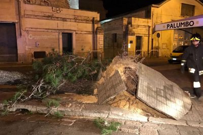 Tragedia sfiorata a Lecce: un albero sfiora un'auto, danni e disagi in tutta la provincia - Corriere Salentino