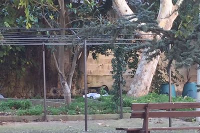 Dramma alla Asl di Lecce, ospite ritrovato cadavere nel parco - Corriere Salentino