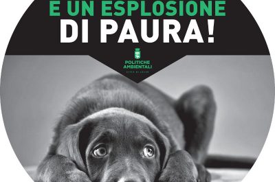 Guerra ai botti, al via la campagna comunale. Andrea Guido chiama in campo tutte le forze dell'ordine - Corriere Salentino