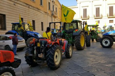 Coldiretti Lecce, celebrata a Nardò la Giornata del Ringraziamento - Corriere Salentino