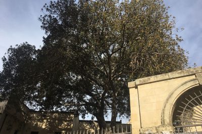 Alla scoperta del Salento: il Conservatorio di S. Anna - Corriere Salentino