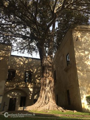 conservatorio-santa-anna