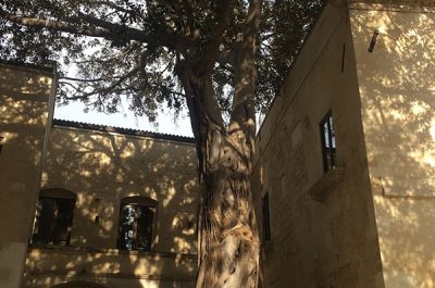 Alla scoperta del Salento: il Conservatorio di S. Anna - Corriere Salentino