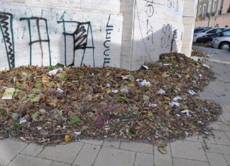 Via Leuca, il vento riporta le foglie in strada. D’Agata: «Pericolo “tappo” per caditoie di scolo»