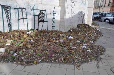 Via Leuca, il vento riporta le foglie in strada. D'Agata: «Pericolo “tappo” per caditoie di scolo» - Corriere Salentino