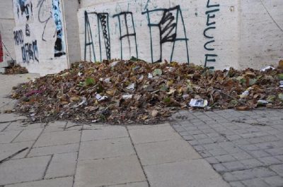 Via Leuca, il vento riporta le foglie in strada. D'Agata: «Pericolo “tappo” per caditoie di scolo» - Corriere Salentino