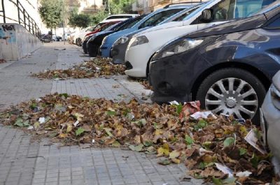Via Leuca, il vento riporta le foglie in strada. D'Agata: «Pericolo “tappo” per caditoie di scolo» - Corriere Salentino