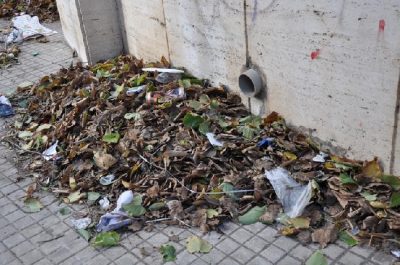Via Leuca, il vento riporta le foglie in strada. D'Agata: «Pericolo “tappo” per caditoie di scolo» - Corriere Salentino