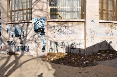 Via Leuca, il vento riporta le foglie in strada. D'Agata: «Pericolo “tappo” per caditoie di scolo» - Corriere Salentino